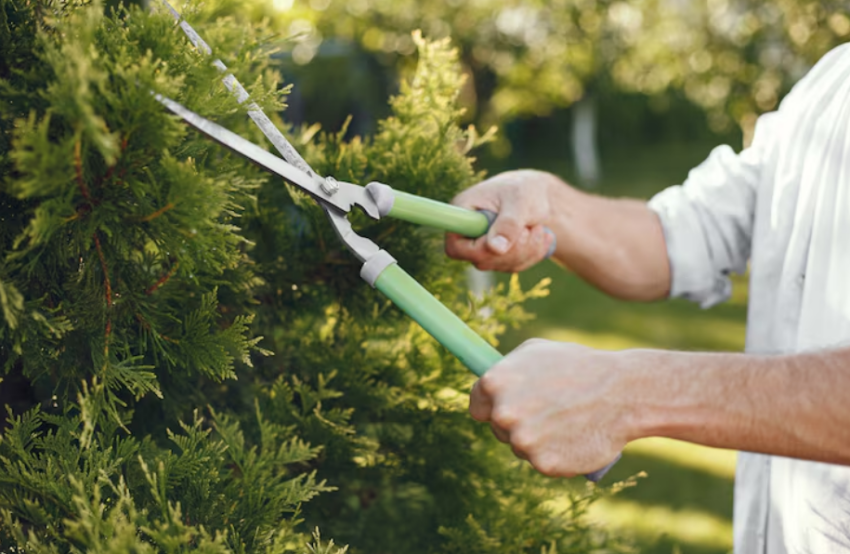 Modern Outdoor Makeover
